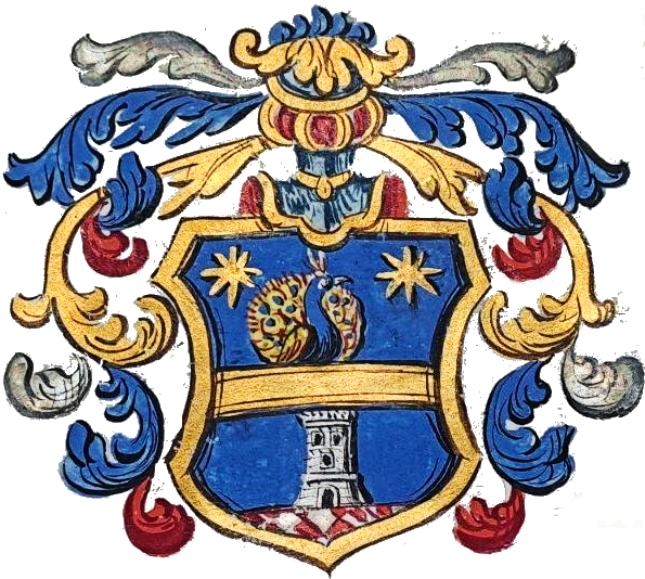 Pavassovich 